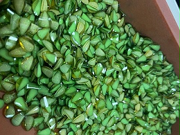 飾品行業(yè)零件自動整列案例